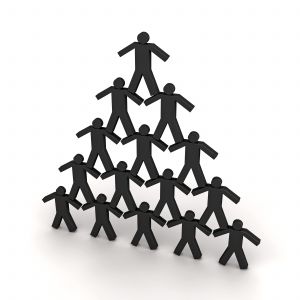 organizacion-de-los-estudios